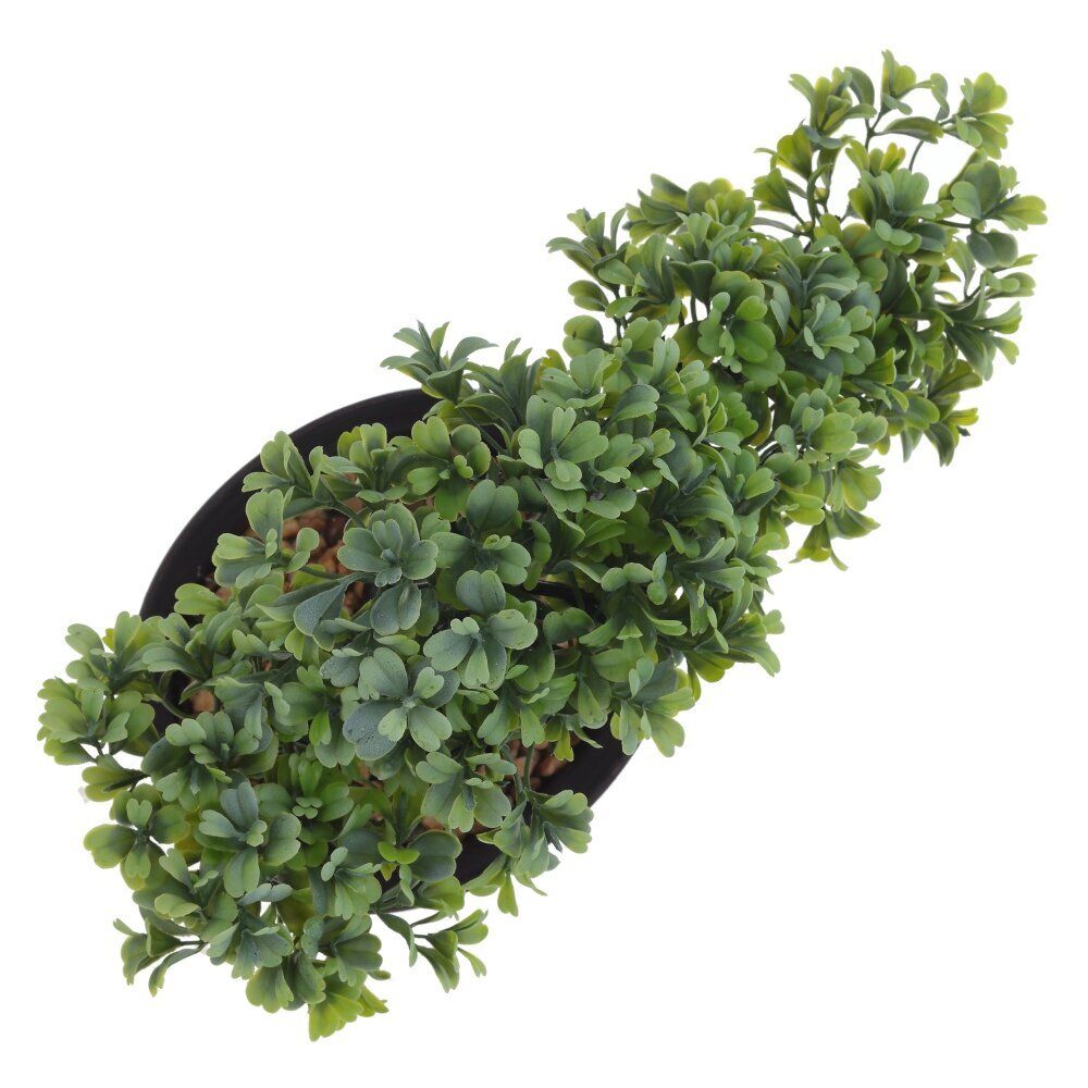 GAEM Цветочная композиция "Бонсай", L32 W13 H19 см, 2в.