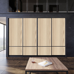 Дверь-купе ARISTO С, ЛДСП EGGER, профиль черный матовый 3