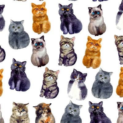 Акварельные котики