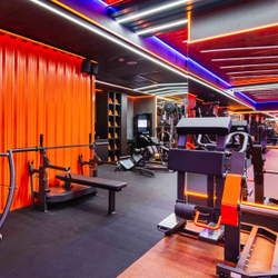 D955 Сгибание ног стоя, рычаги серые