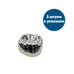 Второй нижний правый моляр, размер 2 (E-LR-2)