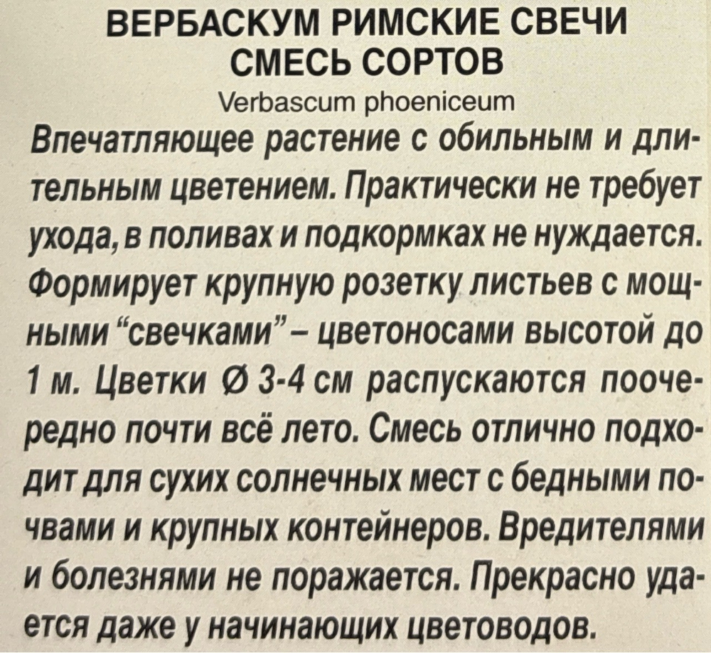 Вербаскум Римские свечи, смесь сортов СМЦ-932