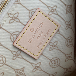 Louis Vuitton Speedy 25