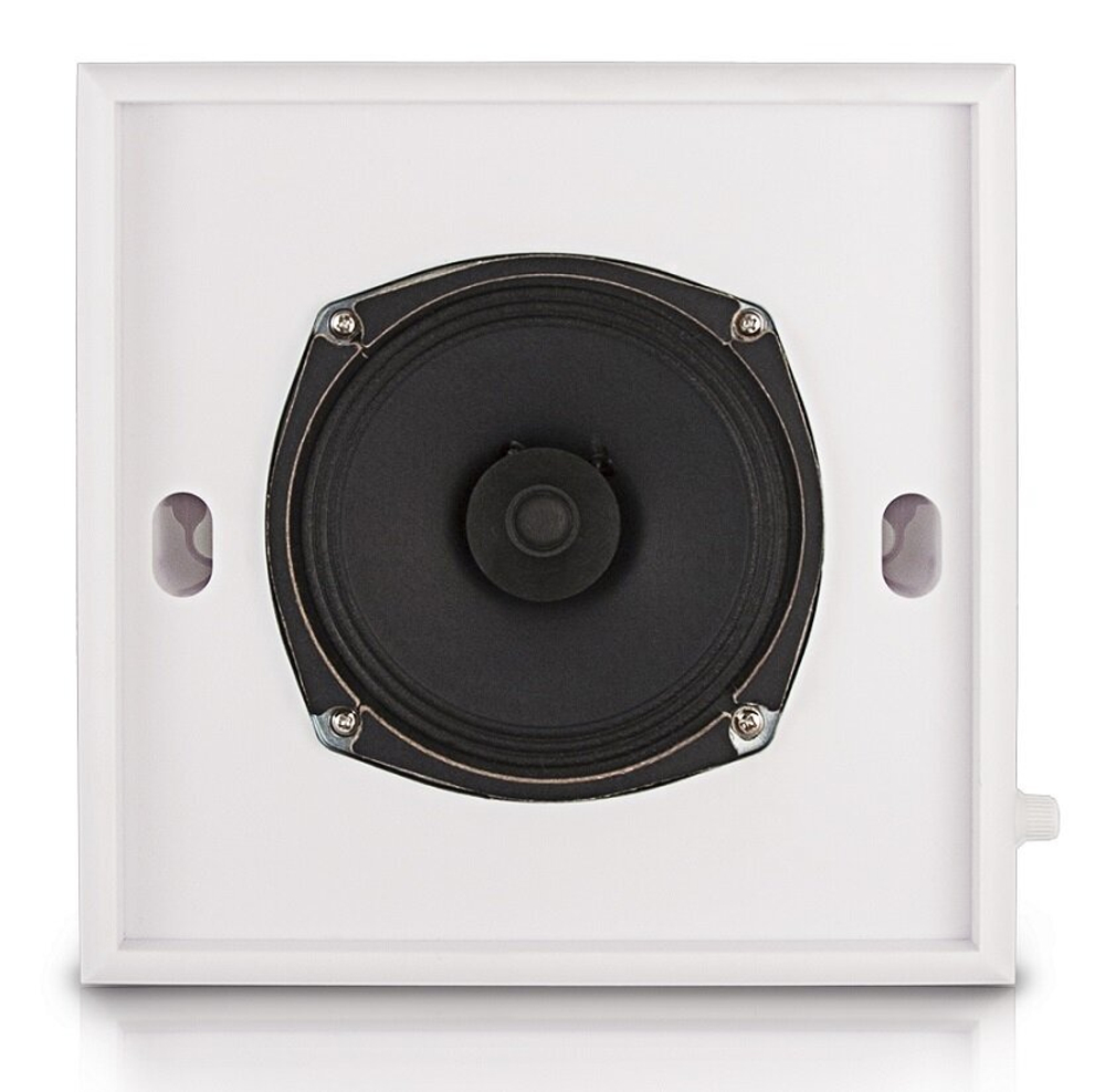 CVGAUDIO WPS6T Широкополосный настенный громкоговоритель