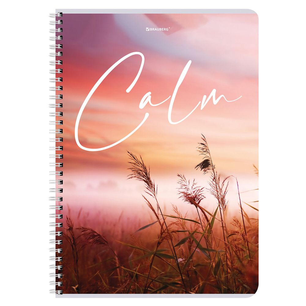 Тетрадь А4, 96 л., BRAUBERG, гребень, клетка, обложка картон, "Calm", 404059, 4шт