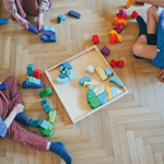 Деревянный конструктор "Темперамент", поддон, 61 деталь