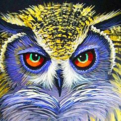 Взгляд совушки- алмазная картина