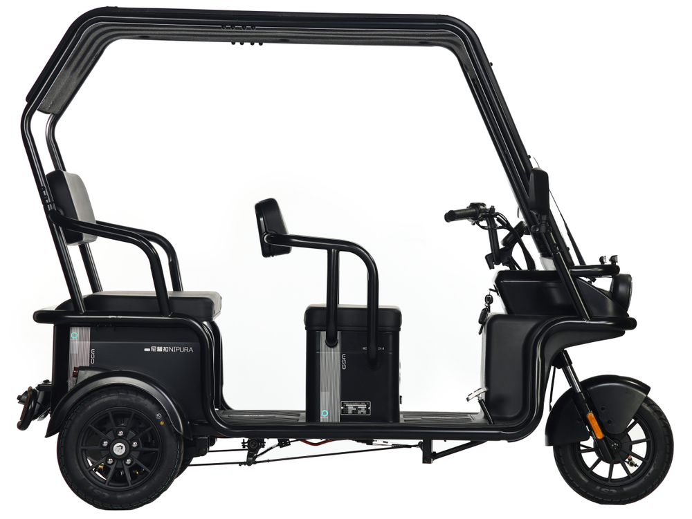 Электротрицикл Wanshida NIPLA 570 (1000Вт, 60B)