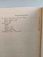 Смотреть и слушать лилии