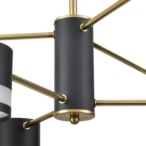 Потолочная люстра Lumion LANIKA 8240/6C