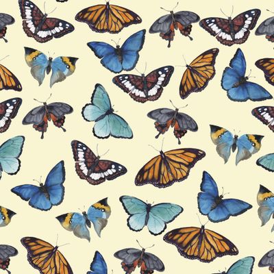 Тропические голубые бабочки на желтом фоне