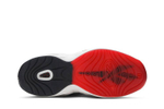 Кроссовки Harden X Reebok Question Og Meets Og