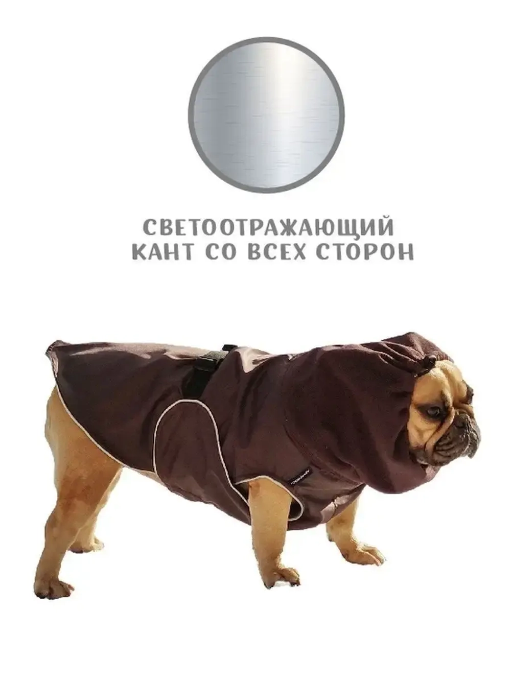 Попона для французского бульдога мопса