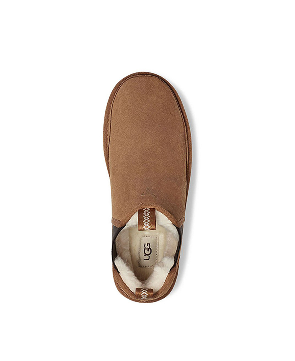 CHELSEA-chestnut