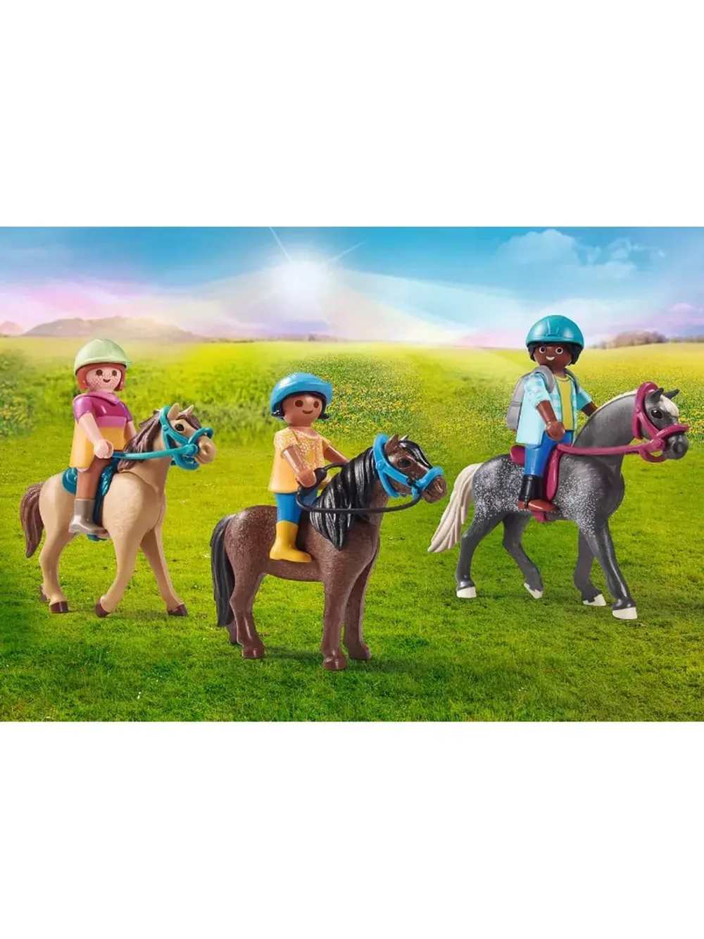 Набор Пикник в деревне Playmobil 71239