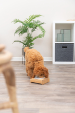 Миски на подставке, 2 х 0,25 л/ 30 х 5 х 14 см, керамика/бамбук, Trixie