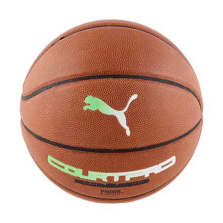 Мячи PUMA teamJAWS Court Pro Basket