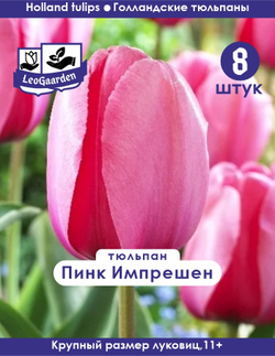 Тюльпан Луковица,Пинк Импрешен  8 шт, разбор 11+