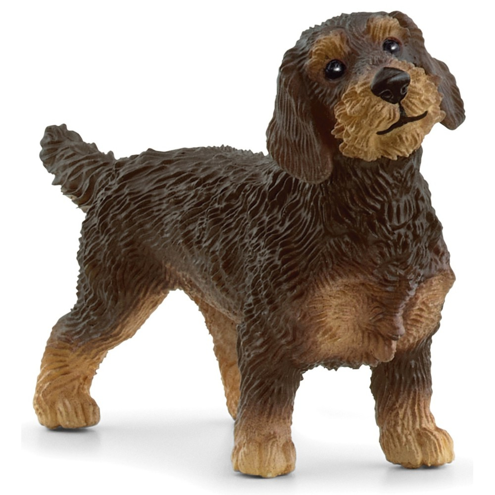 Schleich S 13972 — Такса жесткошёрстная — фото 1