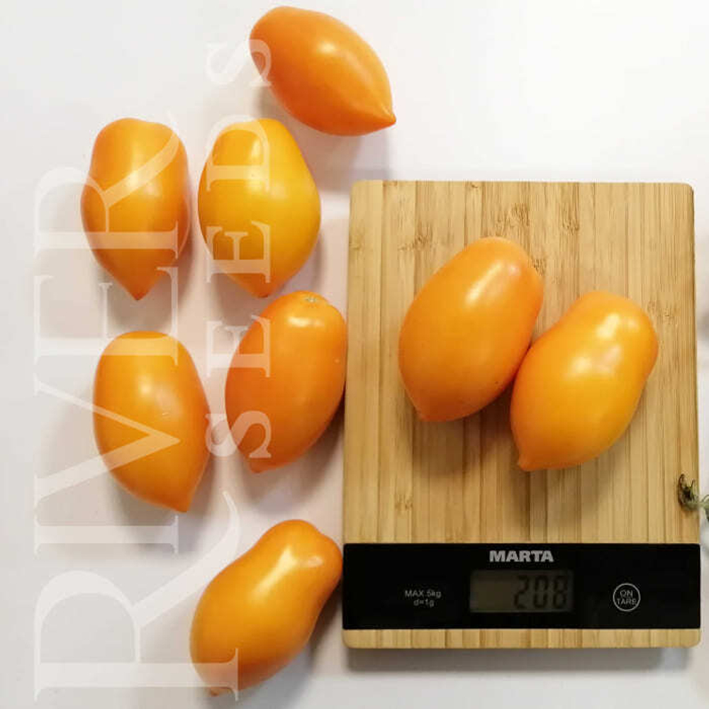 Томат Тейсти Голд F1 (50шт) Витагрин Профи