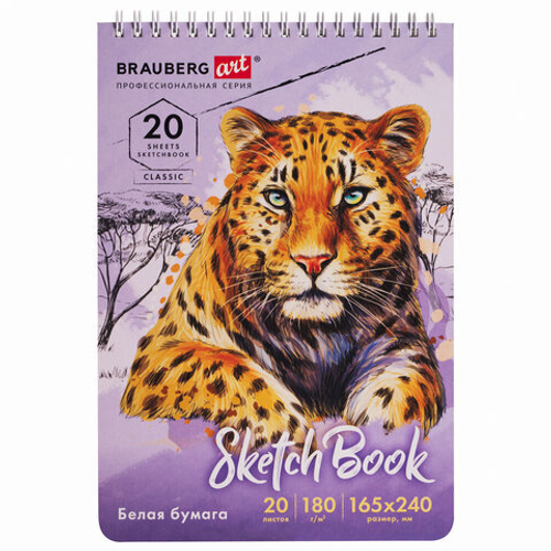 Скетчбук, белая бумага 180 г/м2, 165х240 мм, 20 л., гребень, твердая обложка, BRAUBERG ART CLASSIC, 112993 И