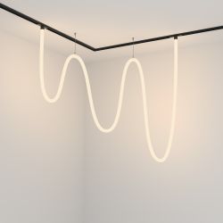 Трековый магнитный светодиодный светильник Maytoni   TR101-2-100W3K-B