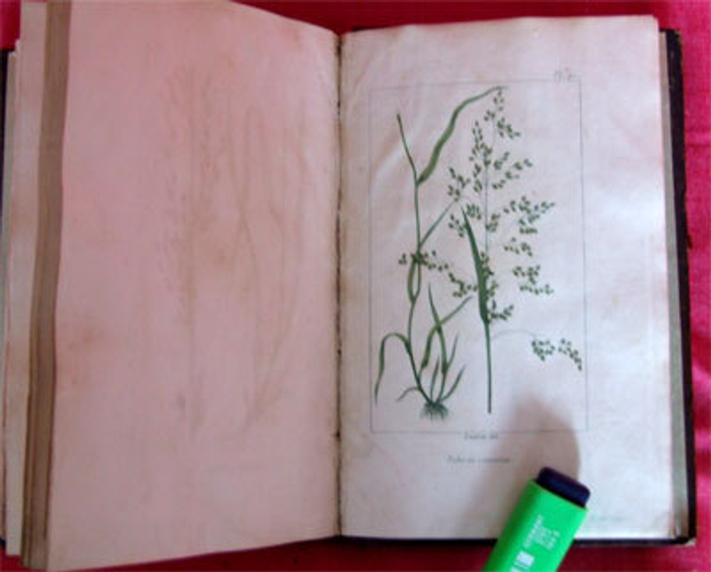 "Traite des prairies naturelles et artificielles (Обработка естественных и искусственных лугопастбищных угодий)". Par M.Boitard (Жозеф-Эдуард Буатард ). 1827г. - антикварное издание