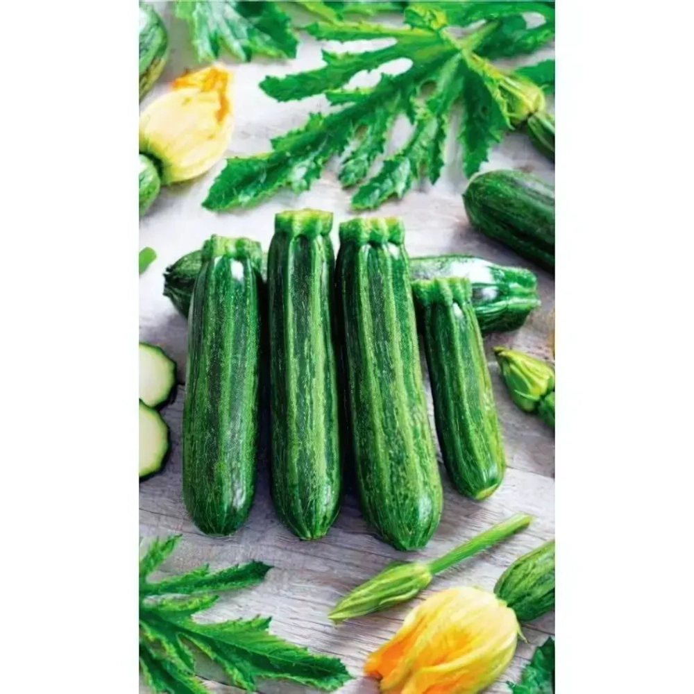 Семена Кабачок Сударь - цуккини (УД) 2гр Е/П