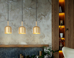 Подвесной светильник Ambrella Light TR TR97118