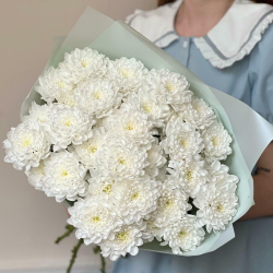 Букет красивых белых хризантем
