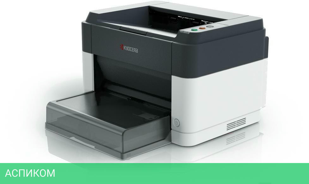 Принтер Kyocera Ecosys FS-1060DN (1102M33RU0)