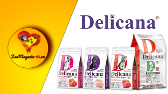 Акция на корма сухие «Delicana»