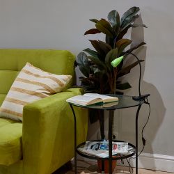 ULM-D501 4W-4000K GREEN Светильник настольный светодиодный прищепка. Механический выключатель. Зеленый. TM Uniel