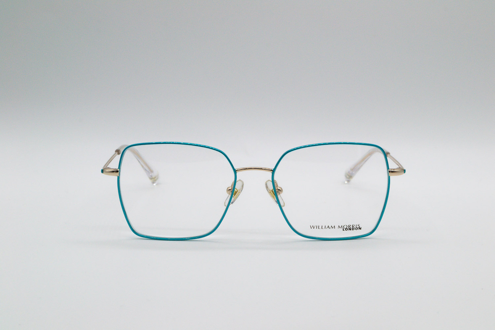 Изг. оправы William Morris London 50289 C1 53/16