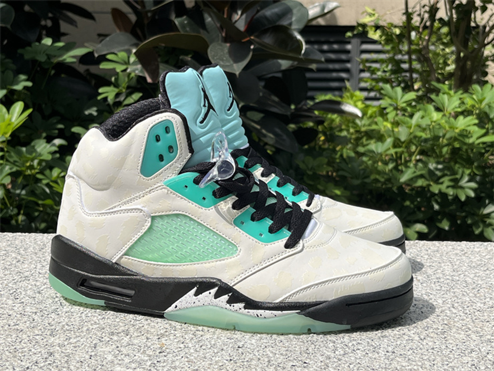 Air Jordan 5 CN2932-100