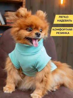 Футболка для собак мелких средних пород и кошек