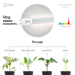 Фитолампа для растений светодиодная ЭРА FITO-18W-Ra90-Т8-G13-NL полного спектра 18 Вт Т8 G13