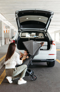 Прогулочная коляска UPPAbaby MINU V2 Greyson