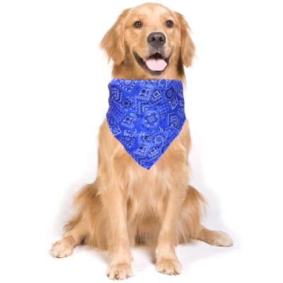 Ошейник с банданой для кошек и собак мелких пород «ЛЮБИМЫЙ БРО», цвет синий, р 23-60см/31*23*4см (лейбл)