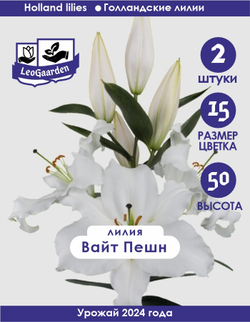 Лилия Луковица, Вайт Пешн  2шт