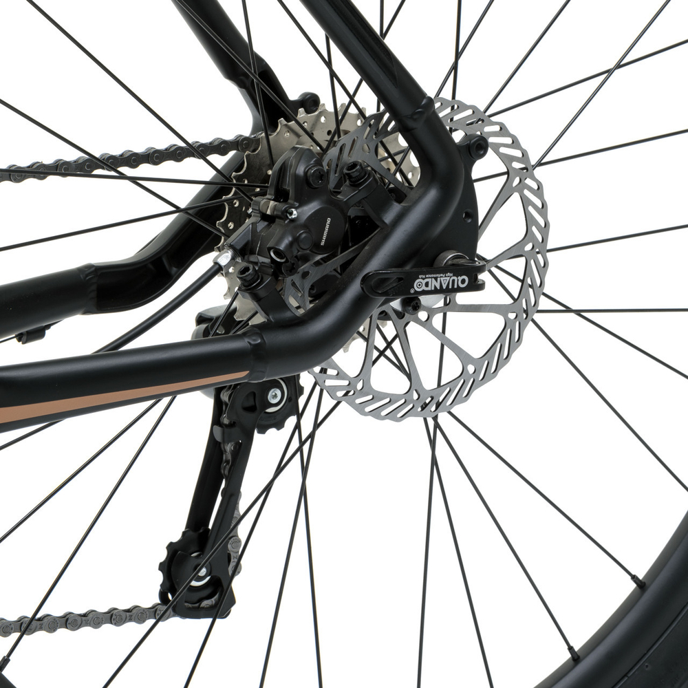 Дорожный велосипед Welt Horizon (2024)