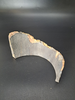 Бивень мамонта для коллекции и поделок