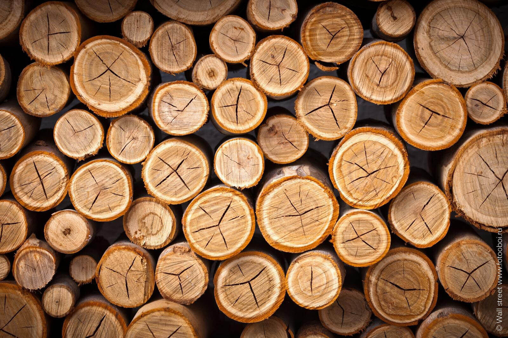 Дизайнерские обои Wall Street Faktura