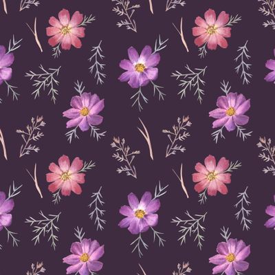 Цветы космеи на темно-фиолетовом / Cosmos flowers on dark violet
