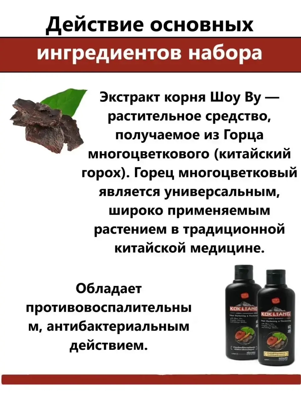 Тайский Шампунь и кондиционер для волос 2x100 мл