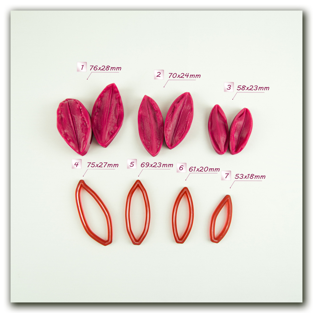 Лепестки лилии Дабл Плеже