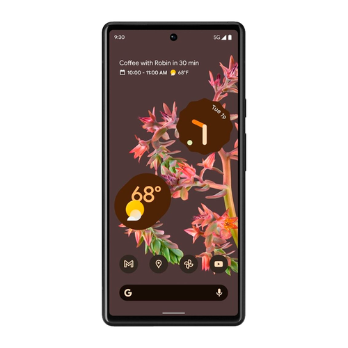 Смартфон Google Pixel 6 8/128GB, Stormy Black (Неистовый черный) (Японская версия)