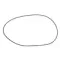 EAT Drive belt Fortissimo - Forte
