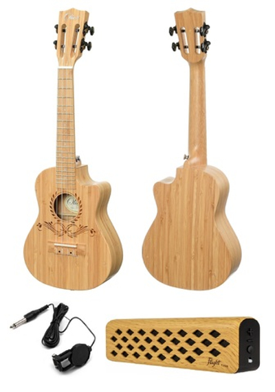 Подарочный комплект укулеле концертной Olive U300CAT