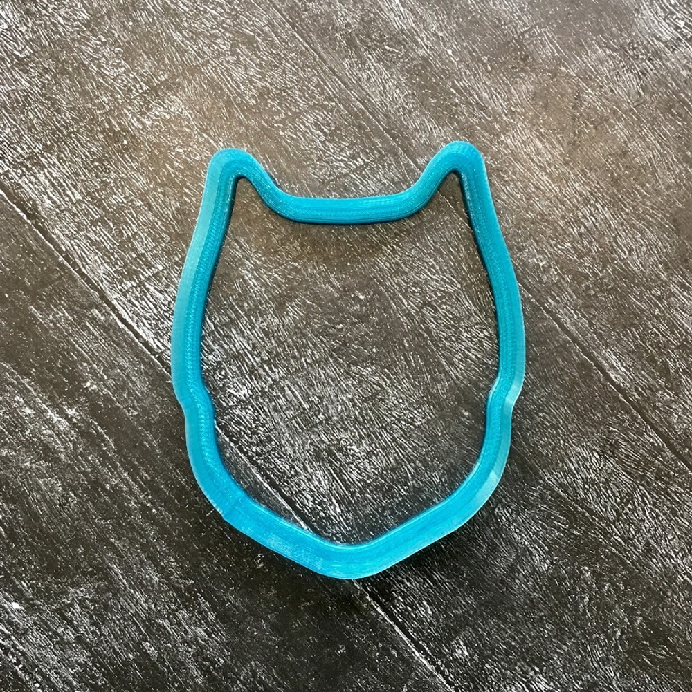 Сова №10 С книгой